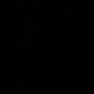 Meet your Posher, Cece